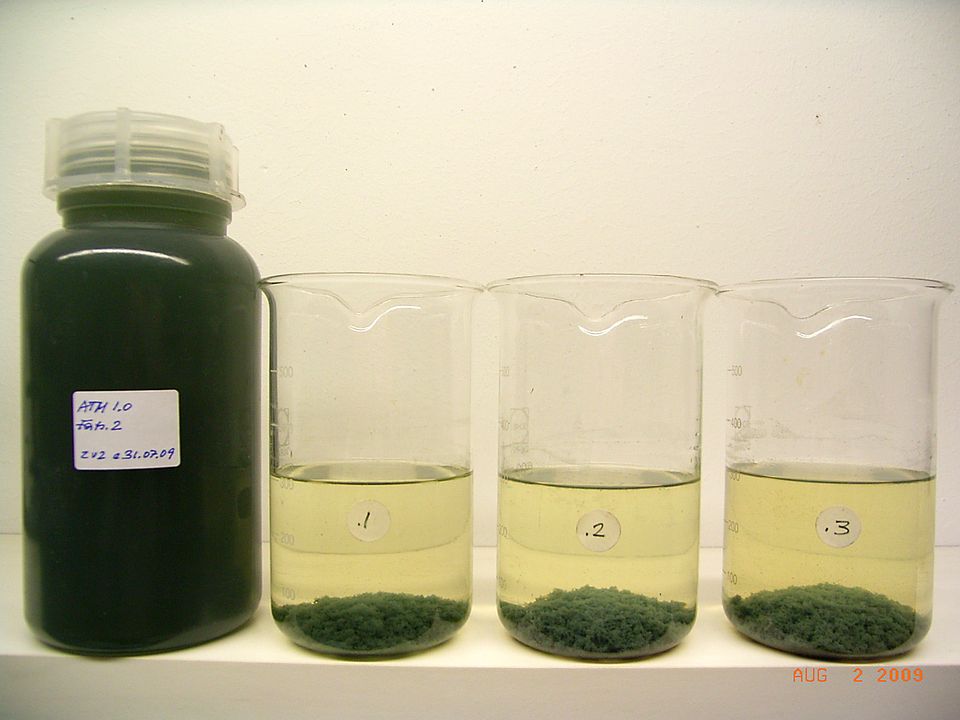 Emulsionsspaltung